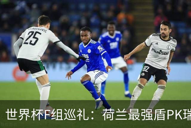 世界杯F组巡礼：荷兰最强盾PK瑞典犀利刀 日本短板明显
