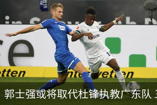 郭士强或将取代杜锋执教广东队 三位主力球员状态爆棚助中国男篮获胜